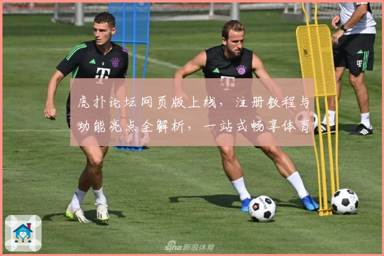 虎扑论坛网页版上线，注册教程与功能亮点全解析，一站式畅享体育社区互动体验