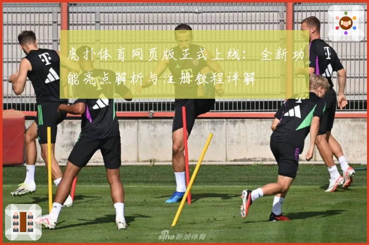 虎扑体育网页版正式上线：全新功能亮点解析与注册教程详解
