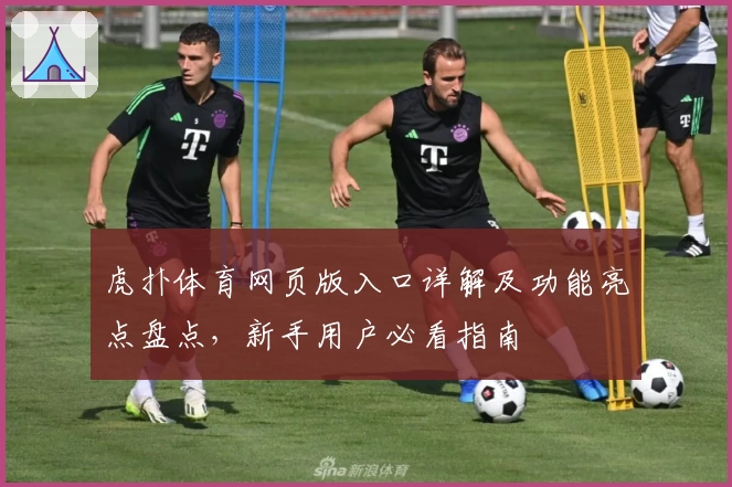 虎扑体育网页版入口详解及功能亮点盘点，新手用户必看指南