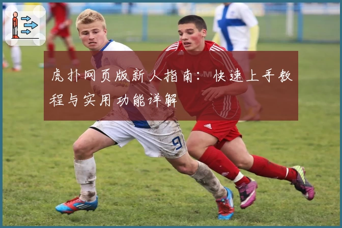 虎扑网页版新人指南：快速上手教程与实用功能详解